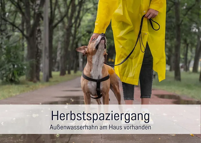 Ferienloft Sternenblick - Strandnah, Haustierfreundlich, Tolle Kueche, Optimal Fuer Workation, 4 Personen