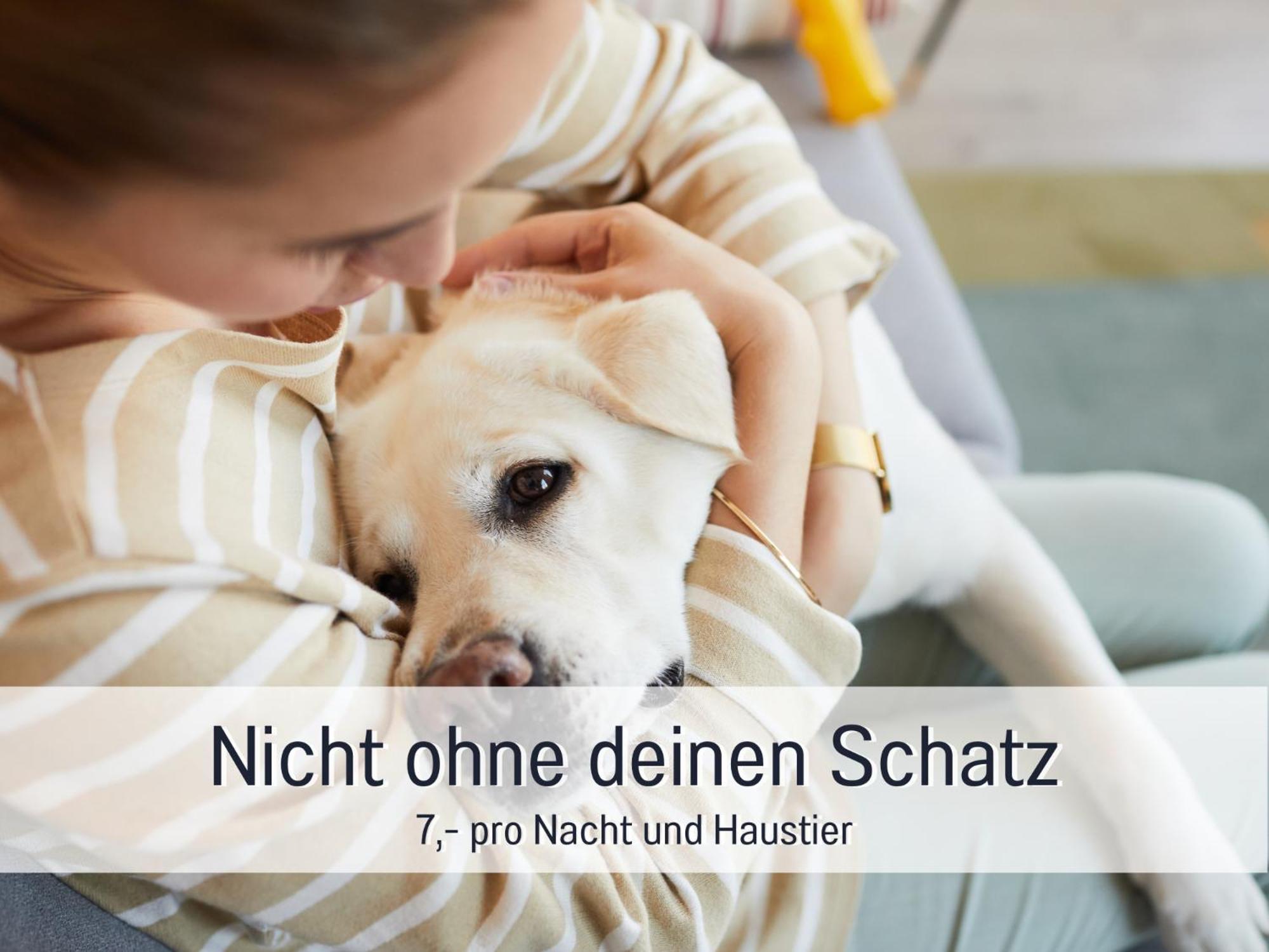 Apartment Ferienloft Sternenblick: Beachside Pet-friendly Retreat With Workation Amenities *