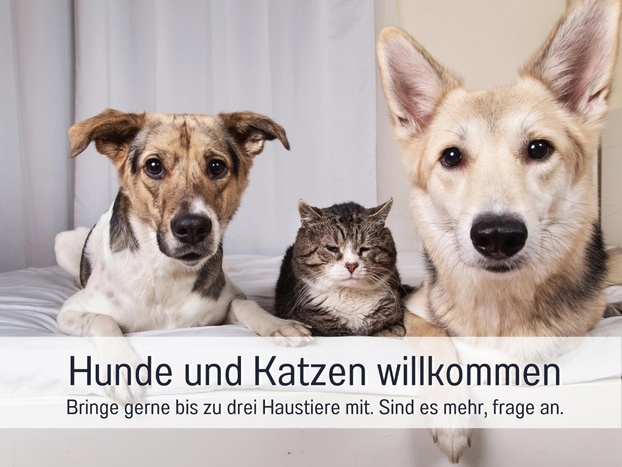 Ferienloft Sternenblick: Beachside Pet-friendly Retreat With Workation Amenities Apartment