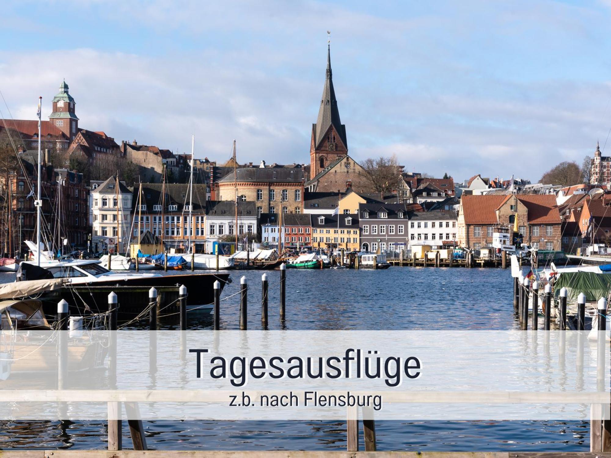 Ferienloft Sternenblick: Beachside Pet-friendly Retreat With Workation Amenities Apartment Steinberg (Schleswig-Holstein)