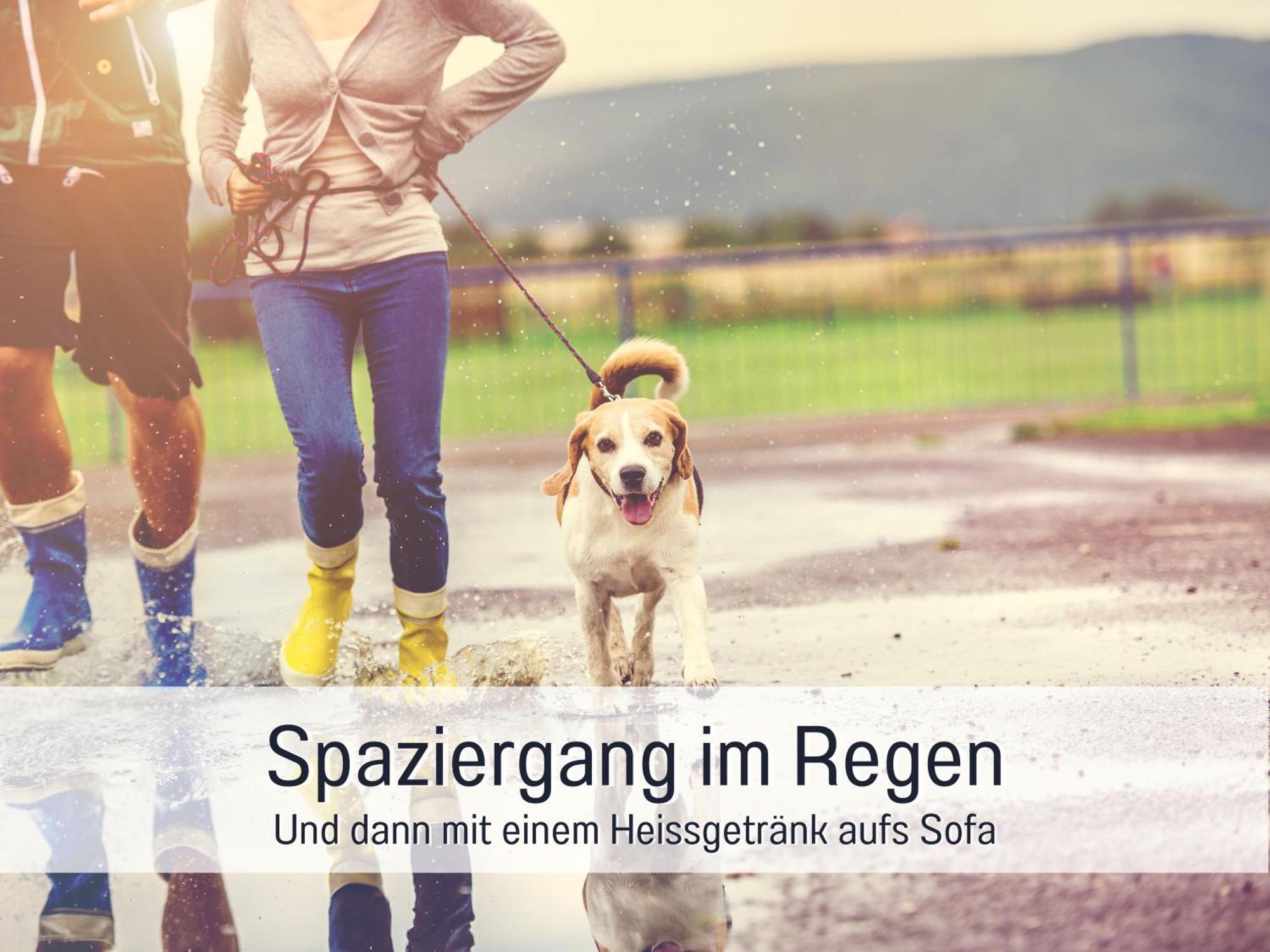 Apartment Ferienloft Sternenblick: Beachside Pet-friendly Retreat With Workation Amenities *
