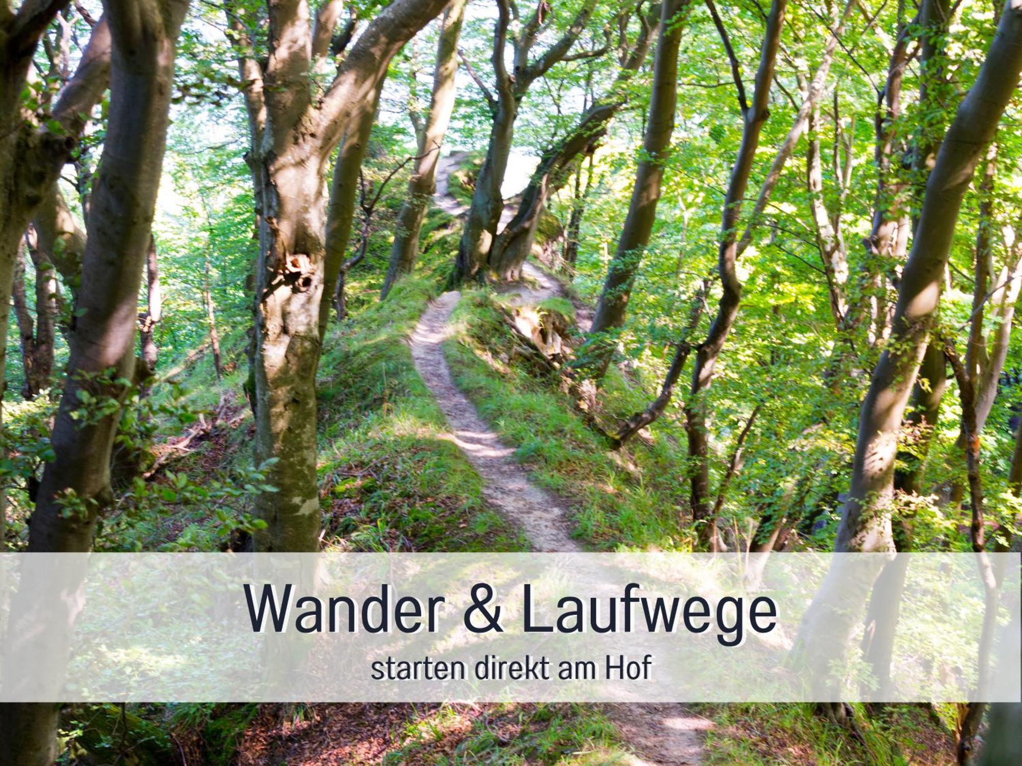Ferienloft Sternenblick: Beachside Pet-friendly Retreat With Workation Amenities