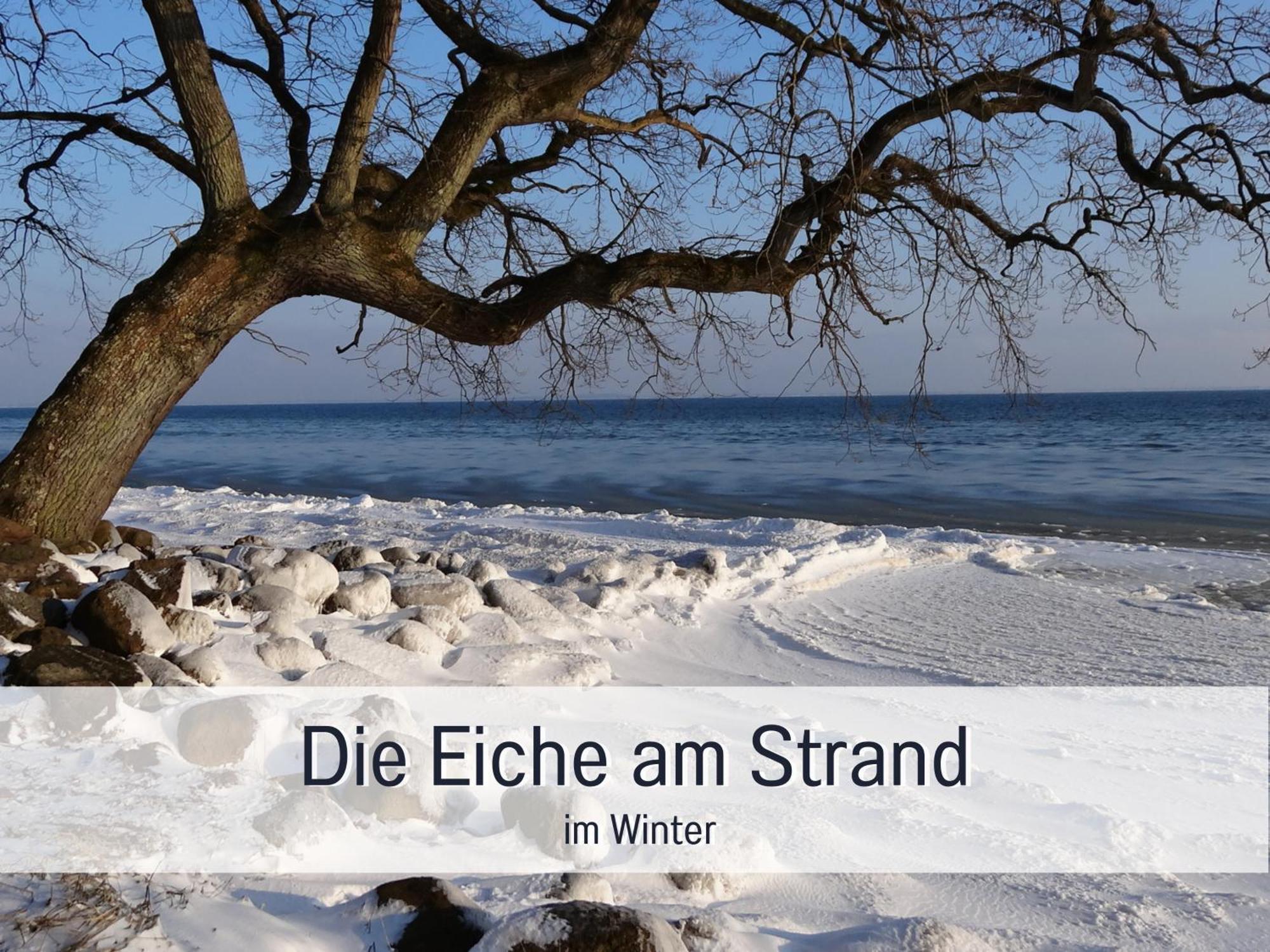 Ferienloft Sternenblick: Beachside Pet-friendly Retreat With Workation Amenities * Steinberg (Schleswig-Holstein)