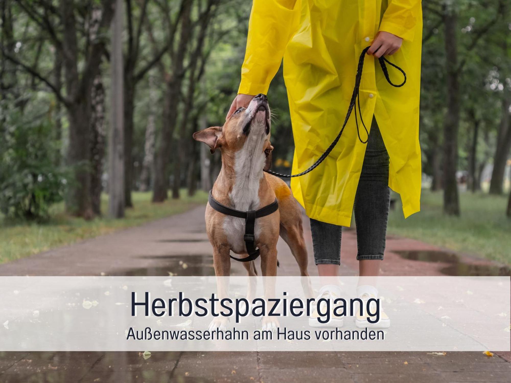 Ferienloft Sternenblick: Beachside Pet-friendly Retreat With Workation Amenities Apartment Steinberg (Schleswig-Holstein)
