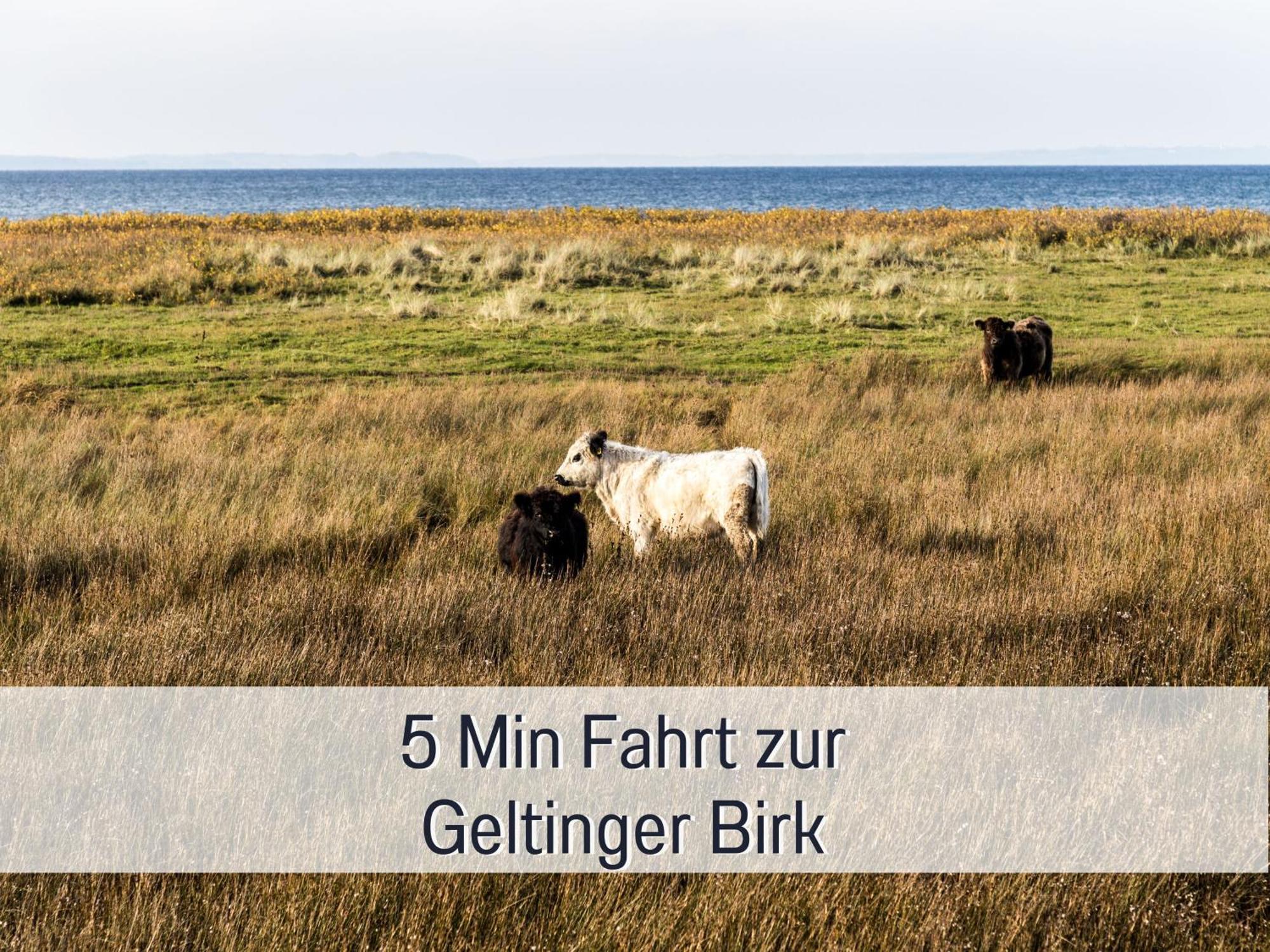 Ferienloft Sternenblick: Beachside Pet-friendly Retreat With Workation Amenities Apartment *